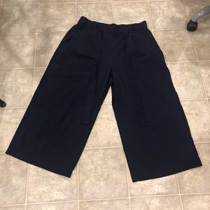 Zara navy blue culotte pants